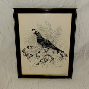 James P. Townsend 1989 Quail Wall Art Print